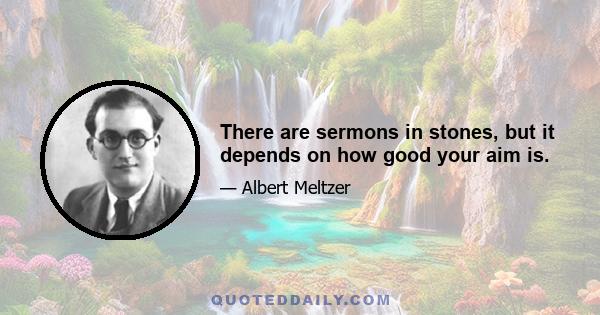 There are sermons in stones, but it depends on how good your aim is.