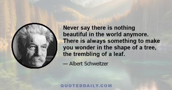 Never say there is nothing beautiful in the world anymore. There is always something to make you wonder in the shape of a tree, the trembling of a leaf.