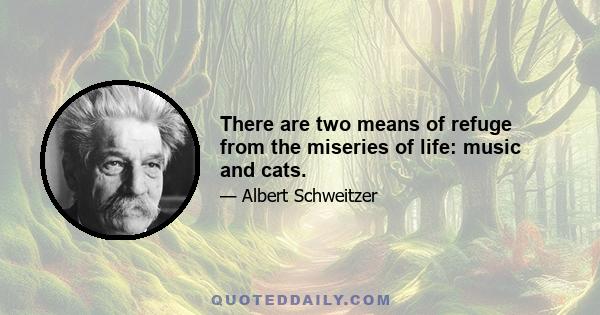 There are two means of refuge from the miseries of life: music and cats.