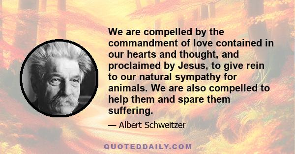 We are compelled by the commandment of love contained in our hearts and thought, and proclaimed by Jesus, to give rein to our natural sympathy for animals. We are also compelled to help them and spare them suffering.