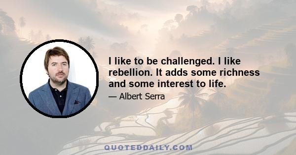 I like to be challenged. I like rebellion. It adds some richness and some interest to life.