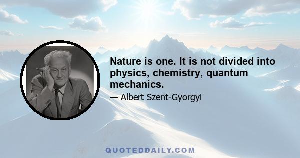 Nature is one. It is not divided into physics, chemistry, quantum mechanics.