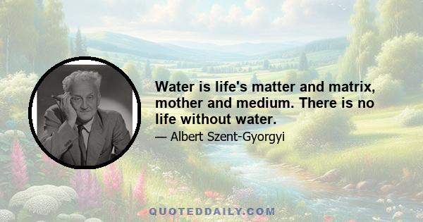 Water is life's matter and matrix, mother and medium. There is no life without water.