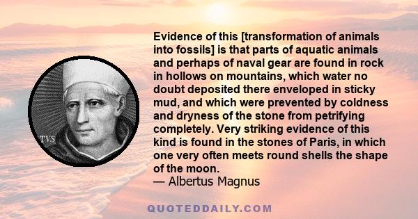 Evidence of this [transformation of animals into fossils] is that parts of aquatic animals and perhaps of naval gear are found in rock in hollows on mountains, which water no doubt deposited there enveloped in sticky