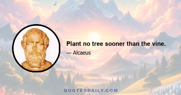 Plant no tree sooner than the vine.