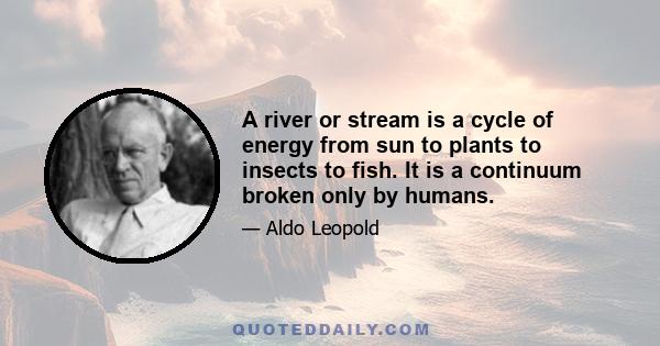 A river or stream is a cycle of energy from sun to plants to insects to fish. It is a continuum broken only by humans.