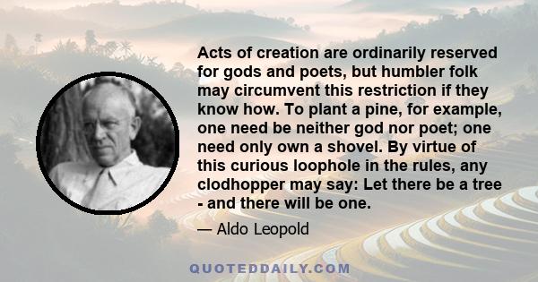 Acts of creation are ordinarily reserved for gods and poets, but humbler folk may circumvent this restriction if they know how. To plant a pine, for example, one need be neither god nor poet; one need only own a shovel. 