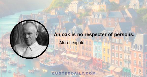 An oak is no respecter of persons.