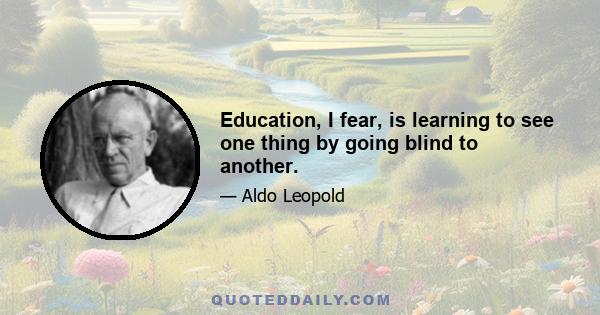 Education, I fear, is learning to see one thing by going blind to another.