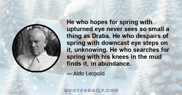 He who hopes for spring with upturned eye never sees so small a thing as Draba. He who despairs of spring with downcast eye steps on it, unknowing. He who searches for spring with his knees in the mud finds it, in