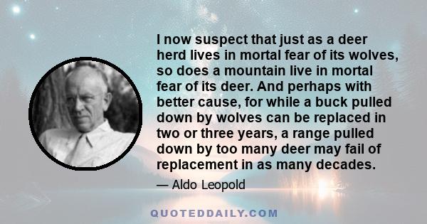 I now suspect that just as a deer herd lives in mortal fear of its wolves, so does a mountain live in mortal fear of its deer. And perhaps with better cause, for while a buck pulled down by wolves can be replaced in two 