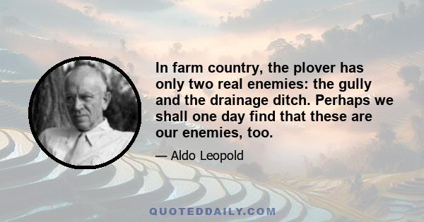 In farm country, the plover has only two real enemies: the gully and the drainage ditch. Perhaps we shall one day find that these are our enemies, too.