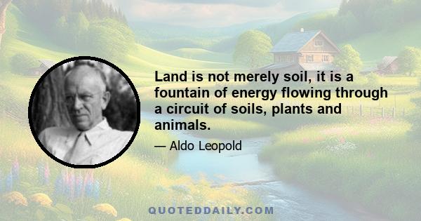 Land is not merely soil, it is a fountain of energy flowing through a circuit of soils, plants and animals.