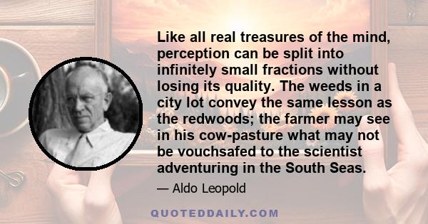 Like all real treasures of the mind, perception can be split into infinitely small fractions without losing its quality. The weeds in a city lot convey the same lesson as the redwoods; the farmer may see in his