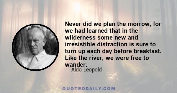 Never did we plan the morrow, for we had learned that in the wilderness some new and irresistible distraction is sure to turn up each day before breakfast. Like the river, we were free to wander.