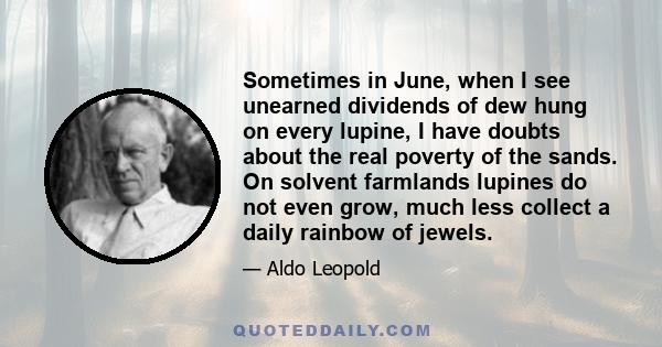 Sometimes in June, when I see unearned dividends of dew hung on every lupine, I have doubts about the real poverty of the sands. On solvent farmlands lupines do not even grow, much less collect a daily rainbow of jewels.