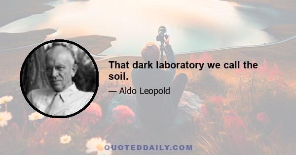 That dark laboratory we call the soil.