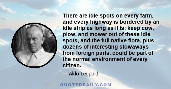 There are idle spots on every farm, and every highway is bordered by an idle strip as long as it is; keep cow, plow, and mower out of these idle spots, and the full native flora, plus dozens of interesting stowaways