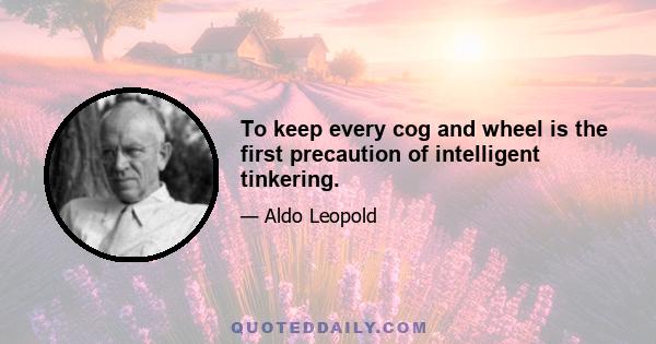 To keep every cog and wheel is the first precaution of intelligent tinkering.