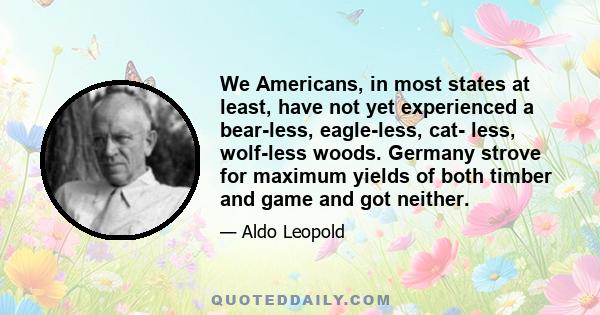 We Americans, in most states at least, have not yet experienced a bear-less, eagle-less, cat- less, wolf-less woods. Germany strove for maximum yields of both timber and game and got neither.