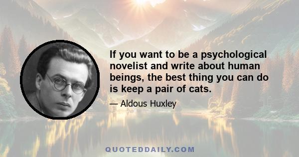 If you want to be a psychological novelist and write about human beings, the best thing you can do is keep a pair of cats.