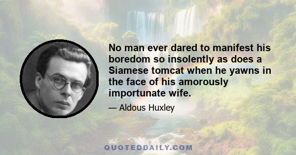 No man ever dared to manifest his boredom so insolently as does a Siamese tomcat when he yawns in the face of his amorously importunate wife.