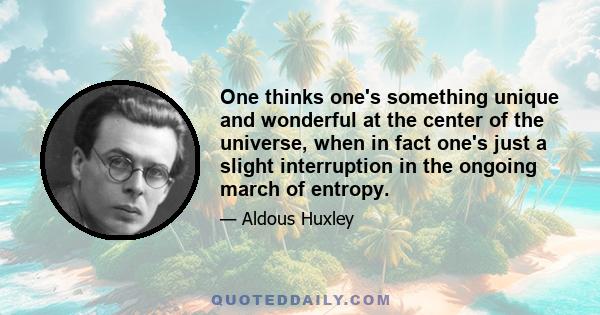 One thinks one's something unique and wonderful at the center of the universe, when in fact one's just a slight interruption in the ongoing march of entropy.