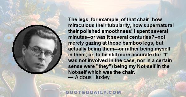 The legs, for example, of that chair--how miraculous their tubularity, how supernatural their polished smoothness! I spent several minutes--or was it several centuries?--not merely gazing at those bamboo legs, but