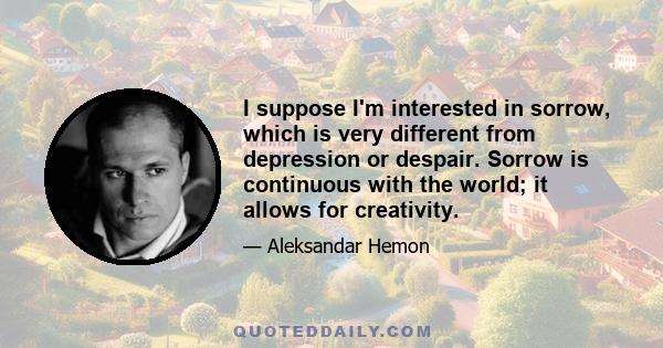 I suppose I'm interested in sorrow, which is very different from depression or despair. Sorrow is continuous with the world; it allows for creativity.