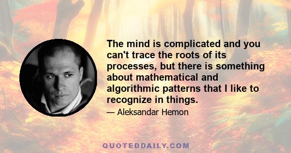 The mind is complicated and you can't trace the roots of its processes, but there is something about mathematical and algorithmic patterns that I like to recognize in things.