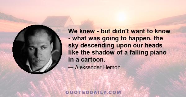 We knew - but didn't want to know - what was going to happen, the sky descending upon our heads like the shadow of a falling piano in a cartoon.