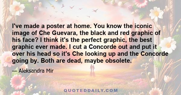 I've made a poster at home. You know the iconic image of Che Guevara, the black and red graphic of his face? I think it's the perfect graphic, the best graphic ever made. I cut a Concorde out and put it over his head so 