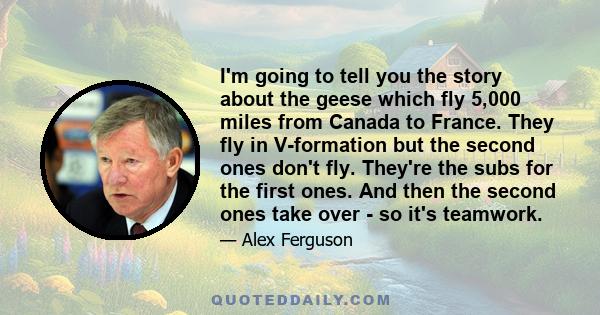 I'm going to tell you the story about the geese which fly 5,000 miles from Canada to France. They fly in V-formation but the second ones don't fly. They're the subs for the first ones. And then the second ones take over 