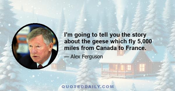 I'm going to tell you the story about the geese which fly 5,000 miles from Canada to France.