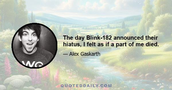 The day Blink-182 announced their hiatus, I felt as if a part of me died.