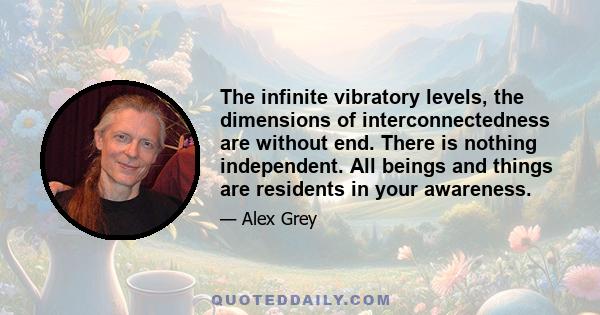 The infinite vibratory levels, the dimensions of interconnectedness are without end. There is nothing independent. All beings and things are residents in your awareness.