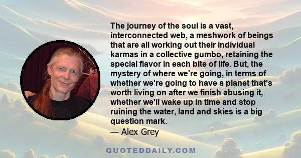 The journey of the soul is a vast, interconnected web, a meshwork of beings that are all working out their individual karmas in a collective gumbo, retaining the special flavor in each bite of life. But, the mystery of