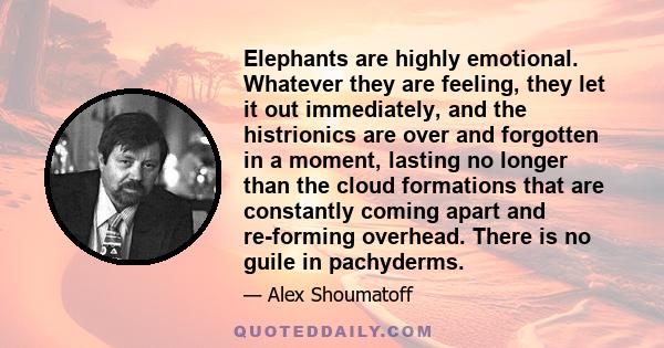 Elephants are highly emotional. Whatever they are feeling, they let it out immediately, and the histrionics are over and forgotten in a moment, lasting no longer than the cloud formations that are constantly coming