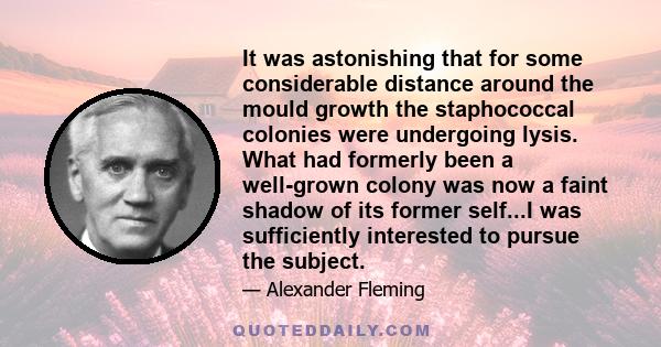 It was astonishing that for some considerable distance around the mould growth the staphococcal colonies were undergoing lysis. What had formerly been a well-grown colony was now a faint shadow of its former self...I