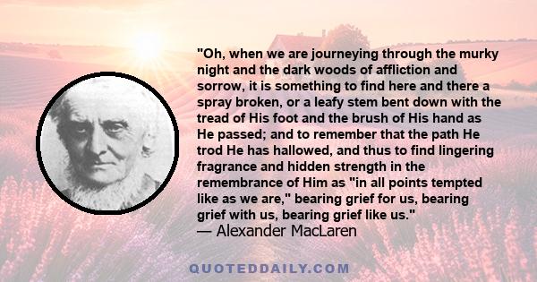 Oh, when we are journeying through the murky night and the dark woods of affliction and sorrow, it is something to find here and there a spray broken, or a leafy stem bent down with the tread of His foot and the brush