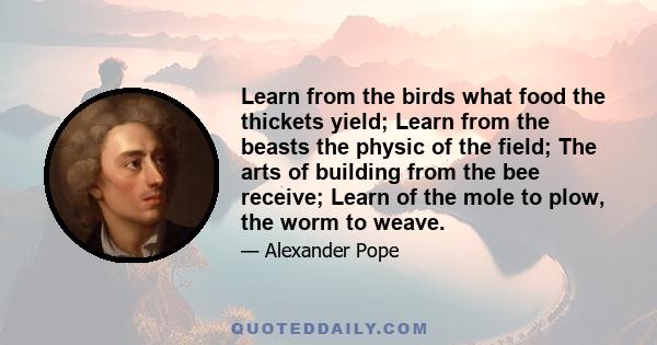 Learn from the birds what food the thickets yield; Learn from the beasts the physic of the field; The arts of building from the bee receive; Learn of the mole to plow, the worm to weave.