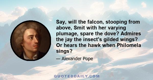 Say, will the falcon, stooping from above, Smit with her varying plumage, spare the dove? Admires the jay the insect's gilded wings? Or hears the hawk when Philomela sings?