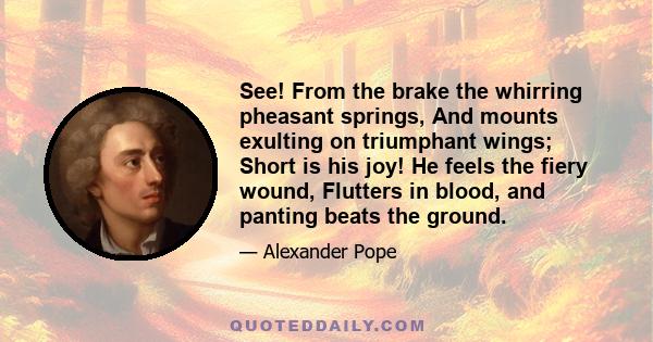 See! From the brake the whirring pheasant springs, And mounts exulting on triumphant wings; Short is his joy! He feels the fiery wound, Flutters in blood, and panting beats the ground.