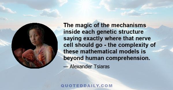 The magic of the mechanisms inside each genetic structure saying exactly where that nerve cell should go - the complexity of these mathematical models is beyond human comprehension.