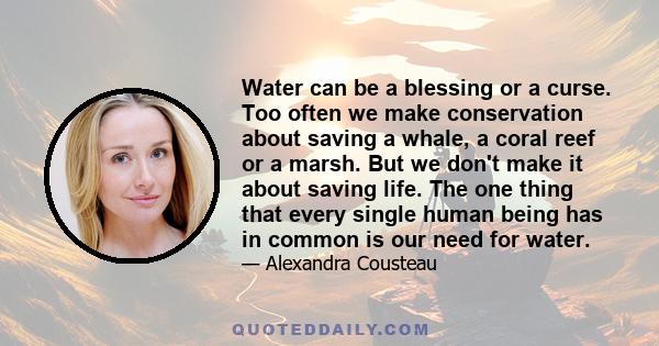 Water can be a blessing or a curse. Too often we make conservation about saving a whale, a coral reef or a marsh. But we don't make it about saving life. The one thing that every single human being has in common is our