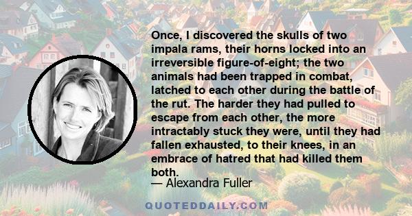 Once, I discovered the skulls of two impala rams, their horns locked into an irreversible figure-of-eight; the two animals had been trapped in combat, latched to each other during the battle of the rut. The harder they