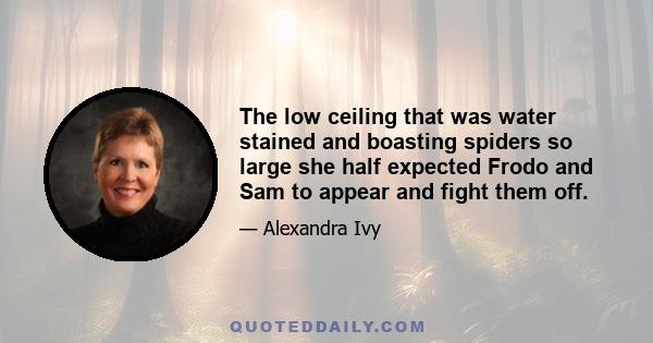 The low ceiling that was water stained and boasting spiders so large she half expected Frodo and Sam to appear and fight them off.