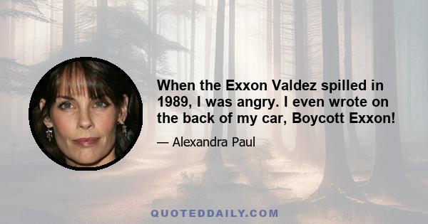 When the Exxon Valdez spilled in 1989, I was angry. I even wrote on the back of my car, Boycott Exxon!