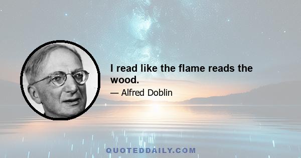 I read like the flame reads the wood.