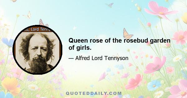 Queen rose of the rosebud garden of girls.